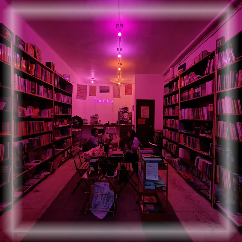 Polilla Librería